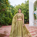Olive Green Embroidered Lehenga Set