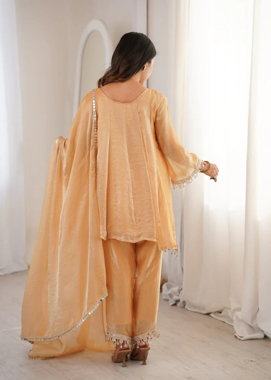 Fendi fabric mirror work kurti pant set chiku back view dupatta drape